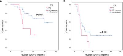 The Prognostic Value of the Prognostic Nutritional Index in Operable High-Grade Glioma Patients and the Establishment of a Nomogram